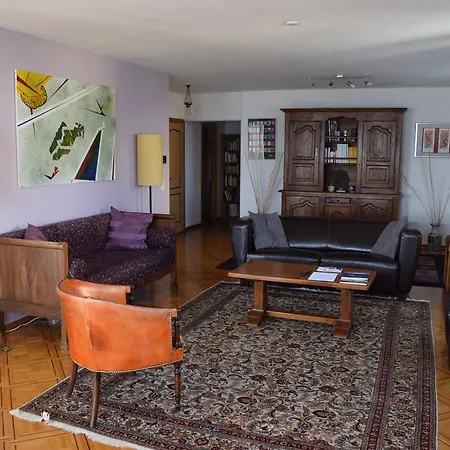 Lake Front Spacious Flat In Nyon