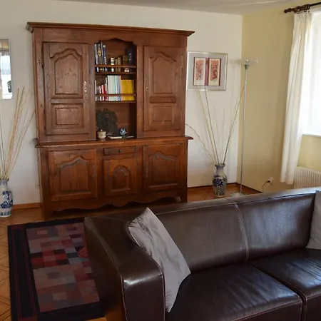 Lake Front Spacious Flat In Appartement Nyon