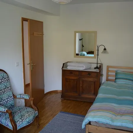 Lake Front Spacious Flat In Nyon