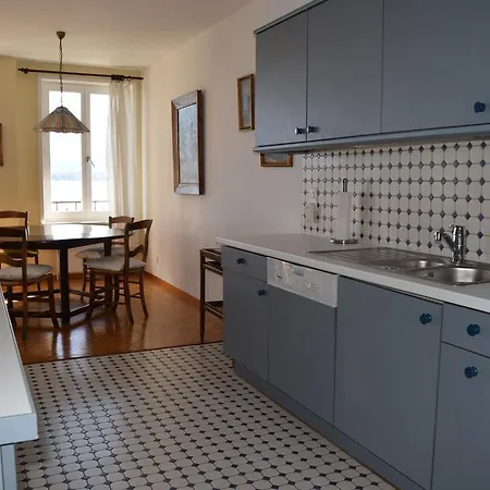 Lake Front Spacious Flat In Nyon